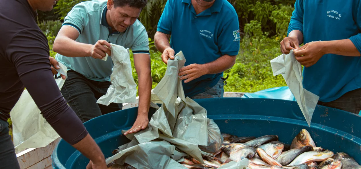 Cerca de 5 toneladas de peixe foram distribuídas para os miguelalvenses