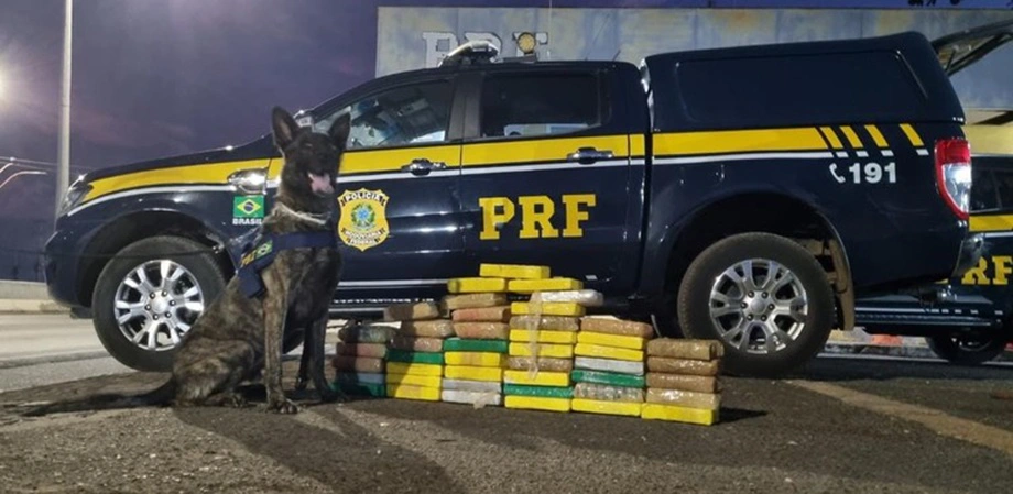 PRF apreende mais de R$ 7 milhões em cocaína em Timon