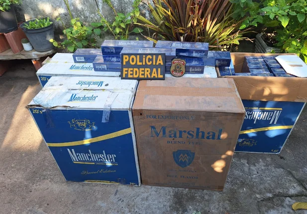Material apreendido durante a operação no Norte do Piauí