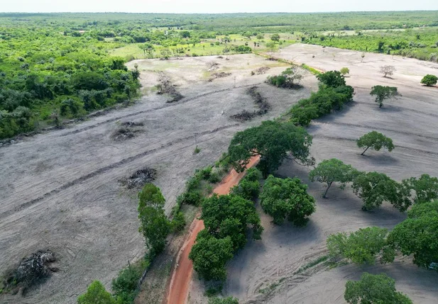 Fiscalização da Semarh identifica 36 alertas de desmatamento no norte do Piauí