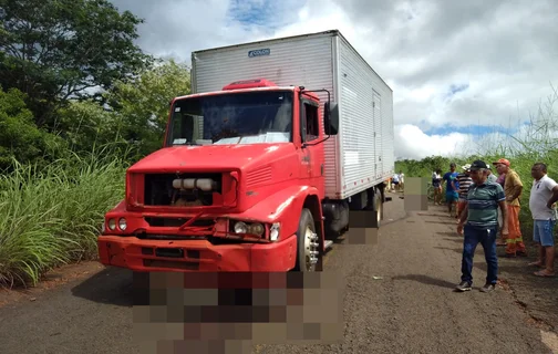 Caminhão atropelou 15 cabeças de gado na PI 120 em Novo Oriente do Piauí