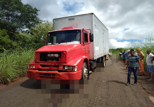 Caminhão atropelou 15 cabeças de gado na PI 120 em Novo Oriente do Piauí