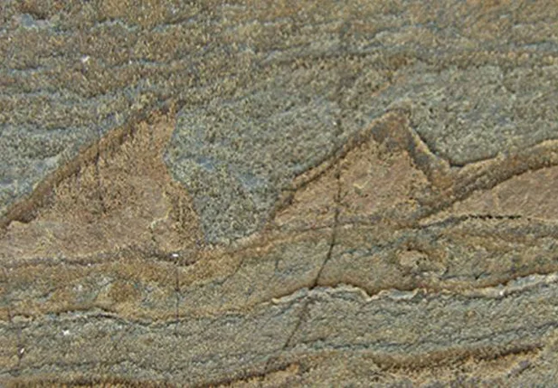Cientistas descobrem fósseis mais antigos da Terra