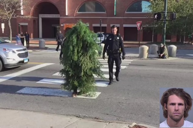 Homem fantasiado de árvore é preso nos EUA