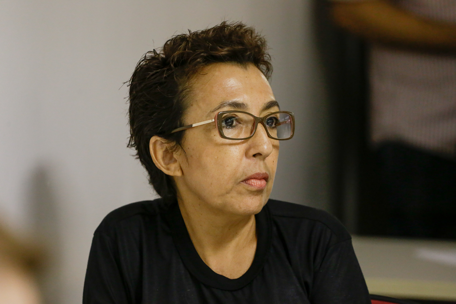 Lina Santana, Presidente da Associação dos Docentes da UESP