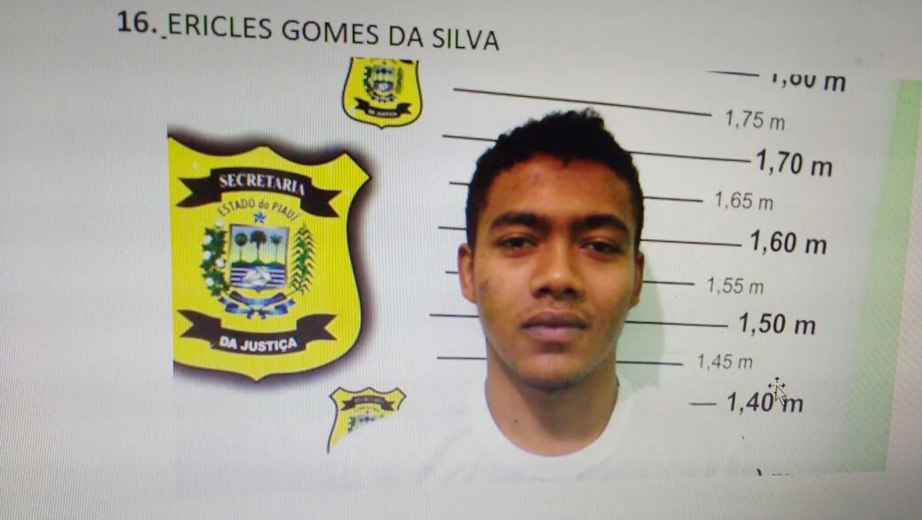 Ericles Gomes da Silva