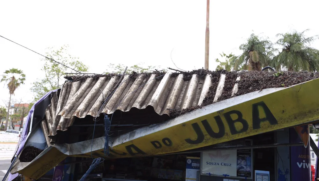 Árvore cai durante forte chuva e atinge banca de revistas O Juba