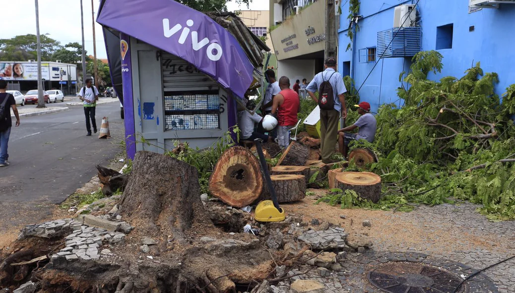 Árvore cai e atinge banca de revistas O Juba após temporal em Teresina