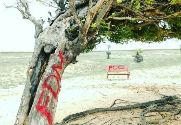 Árvore Penteada pinchada com siglas de facções criminosas