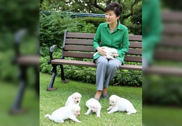 Os cachorros da ex-presidente da Coreia do Sul, Park Geun-hye
