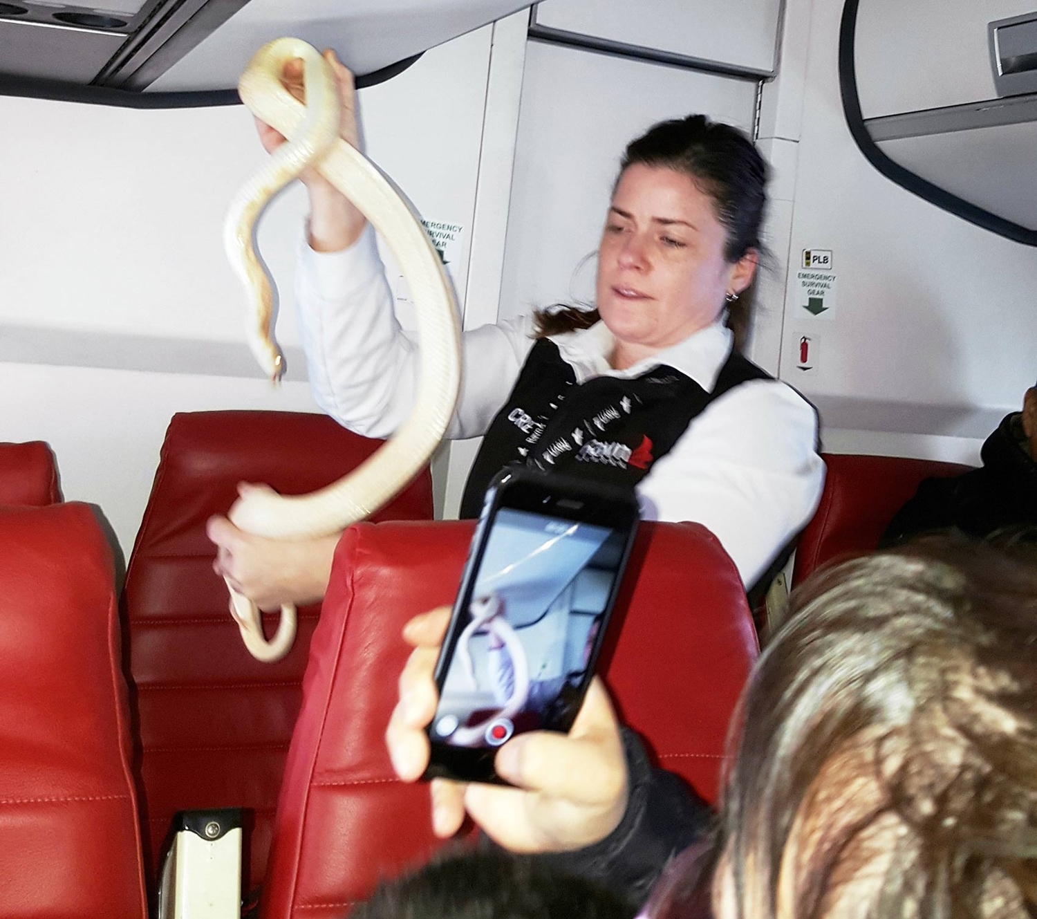 Segundo empresa aérea Ravn Alaska, passageiro violou regra ao embarcar com a cobra no avião
