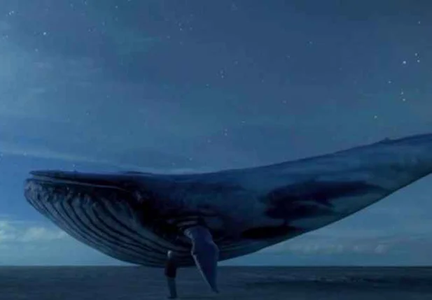 Desafio da Baleia Azul