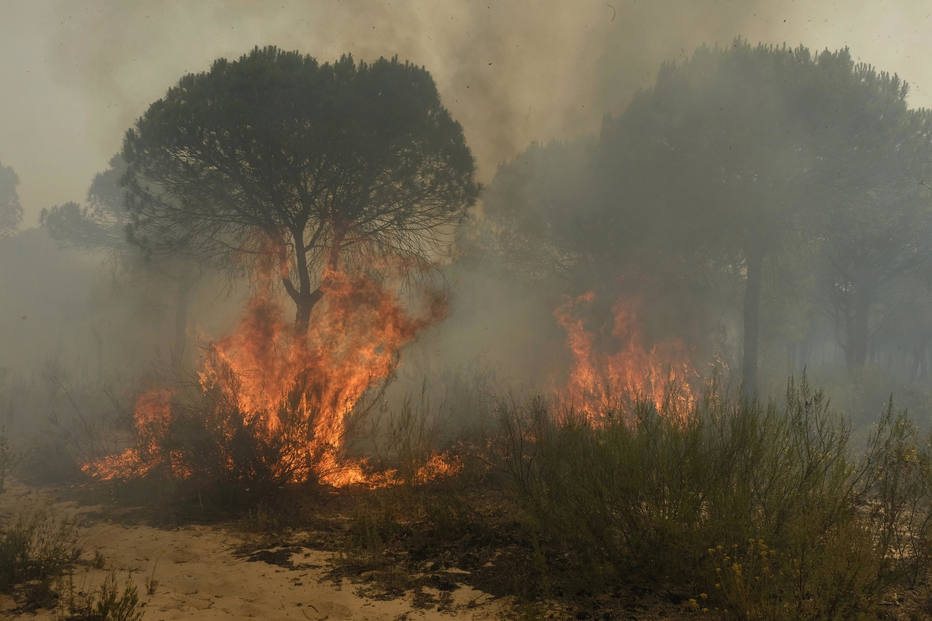 Incêndio em floresta na Espanha leva à remoção de 2 mil pessoas