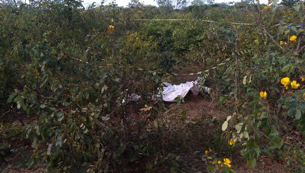 Um dos corpos foi encontrado longe da caminhonete e dentro de matagal