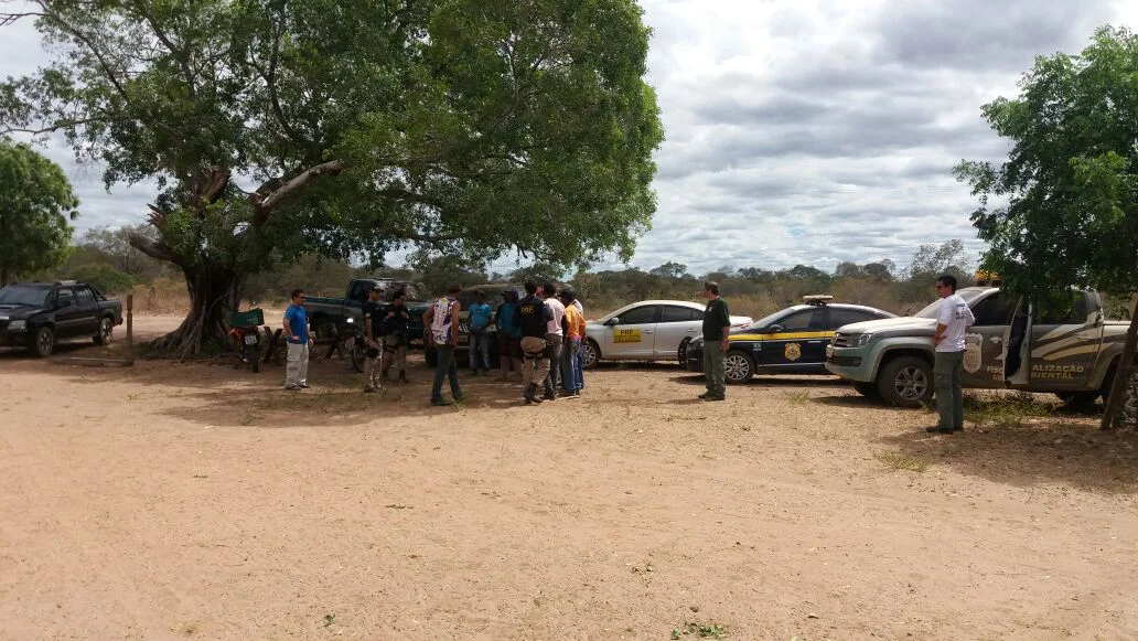 A operação aconteceu no município de Nazaré do Piauí