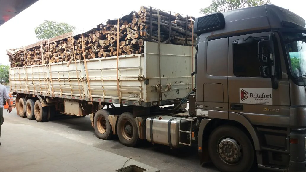 Caminhão apreendido com madeira ilegal