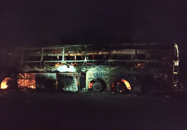 Ônibus vindo de SP pega fogo na BR 315 em Santa Luz