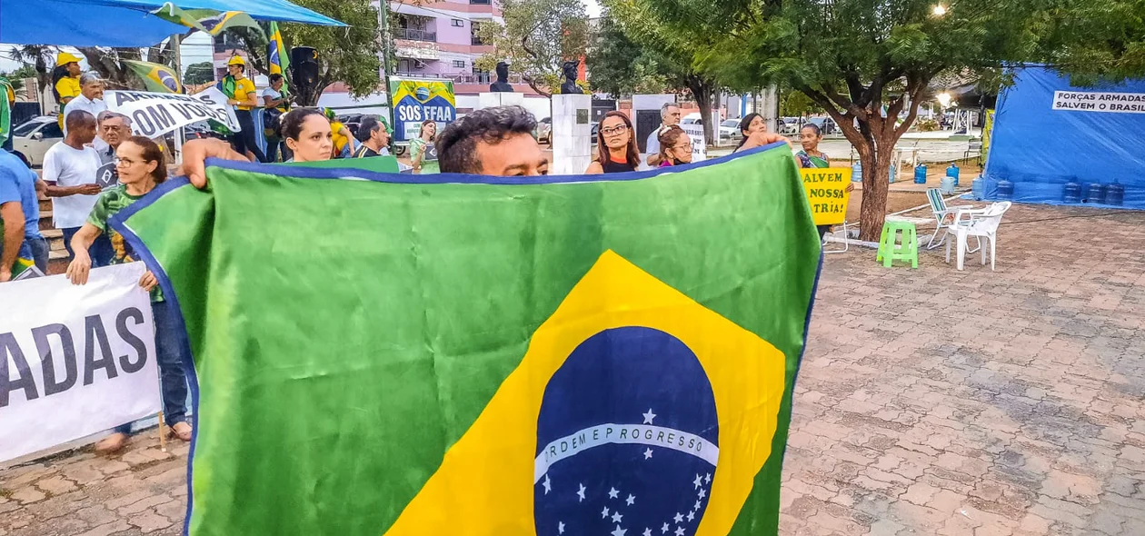 Manifestante segurando bandeira do Brasil