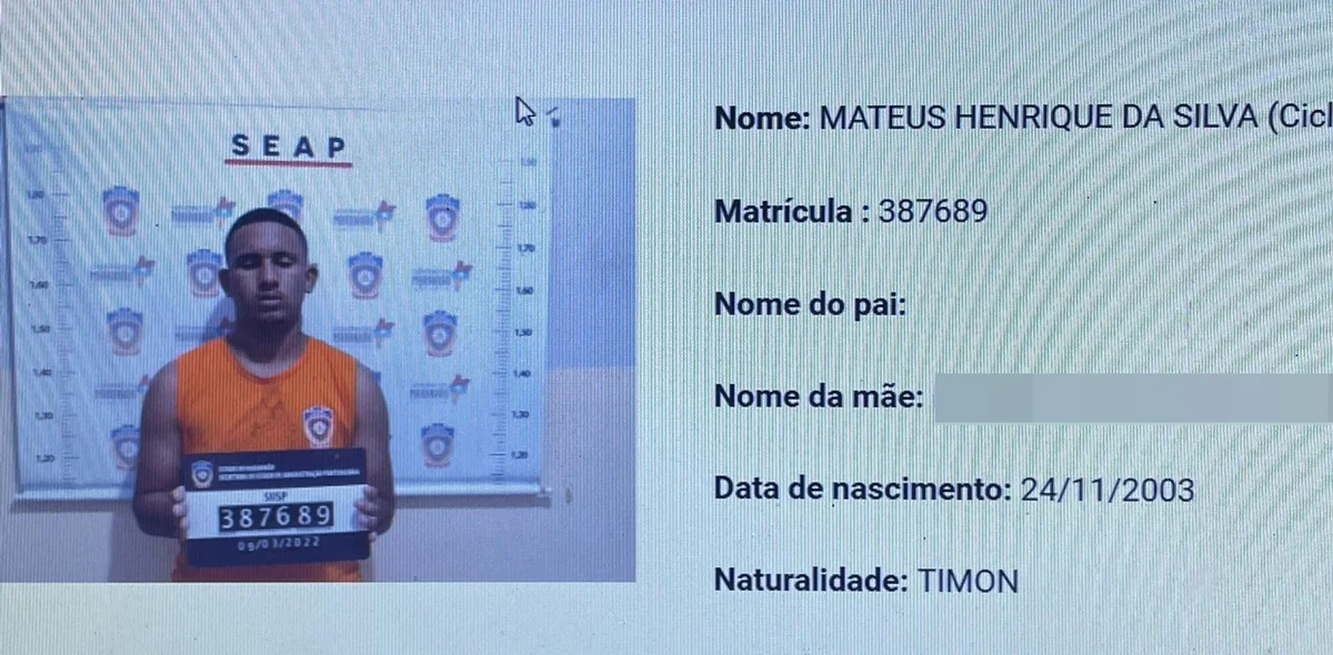 Matheus Henrique da Silva