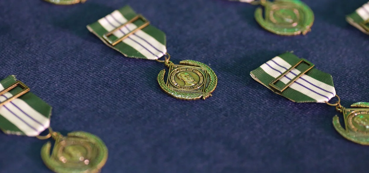 Medalha do Mérito Conselheiro Saraiva