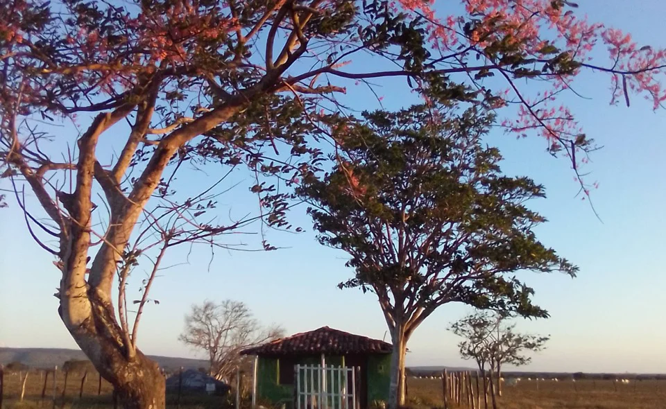 1º Lugar da categoria Habitação: “Casinha No Povoado Batata" - Micaele Dias Santos (Sergipe)