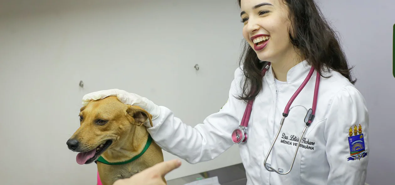 Médica veterinária demonstra carinhão ao pet