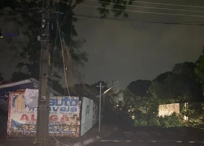 Árvores caíram e comprometeram a fiação elétrica