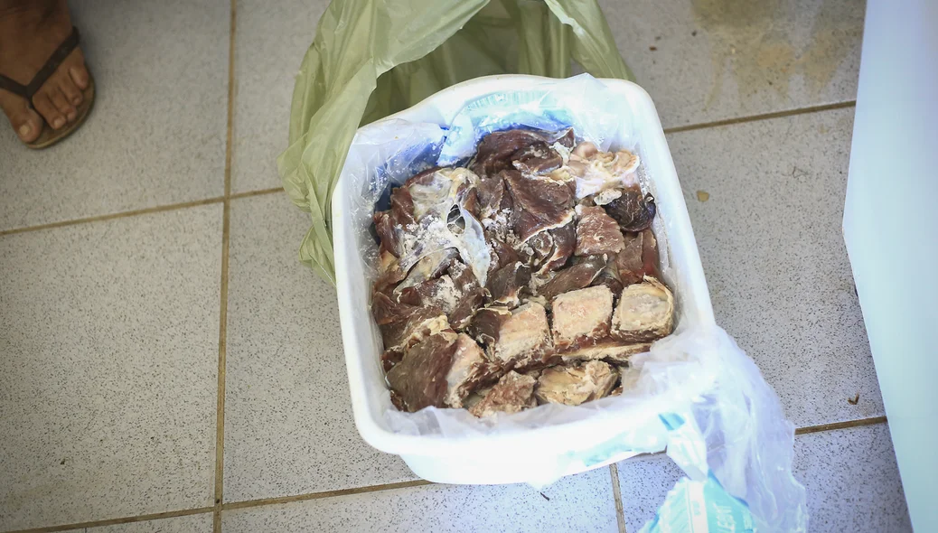 Carne estragada na sacola
