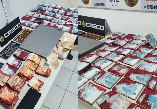 Dinheiro apreendido pela Polícia Civil do Piauí