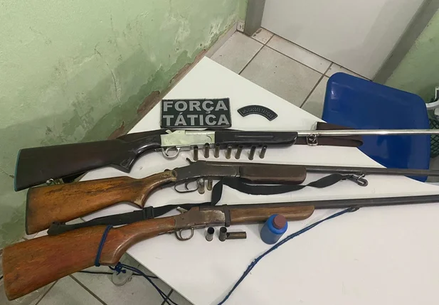 Espingardas apreendidas em Valença