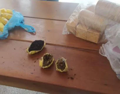 Maconha encontrada dentro de babanas
