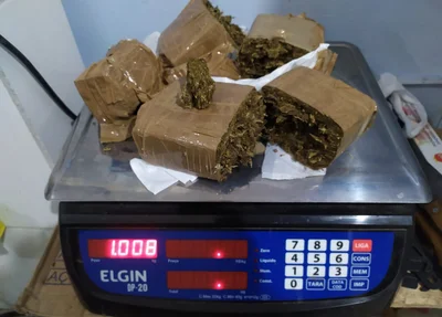 Maconha prensada apreendida