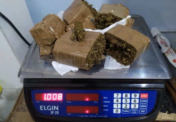 Maconha prensada apreendida