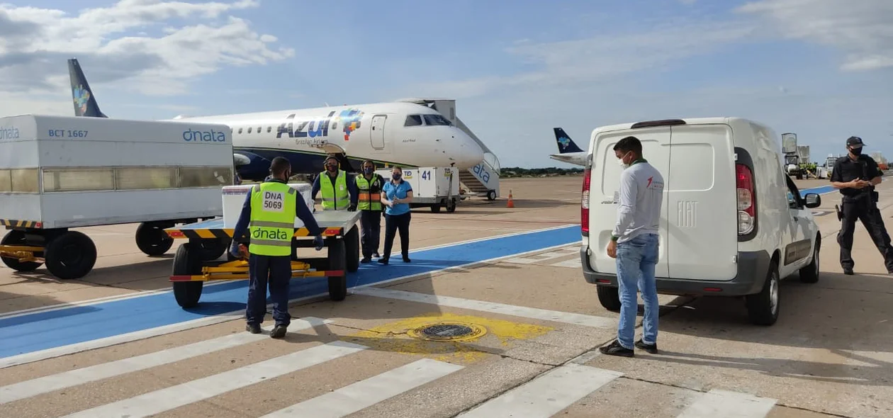 Os imunizantes chegaram na tarde deste domingo em Teresina