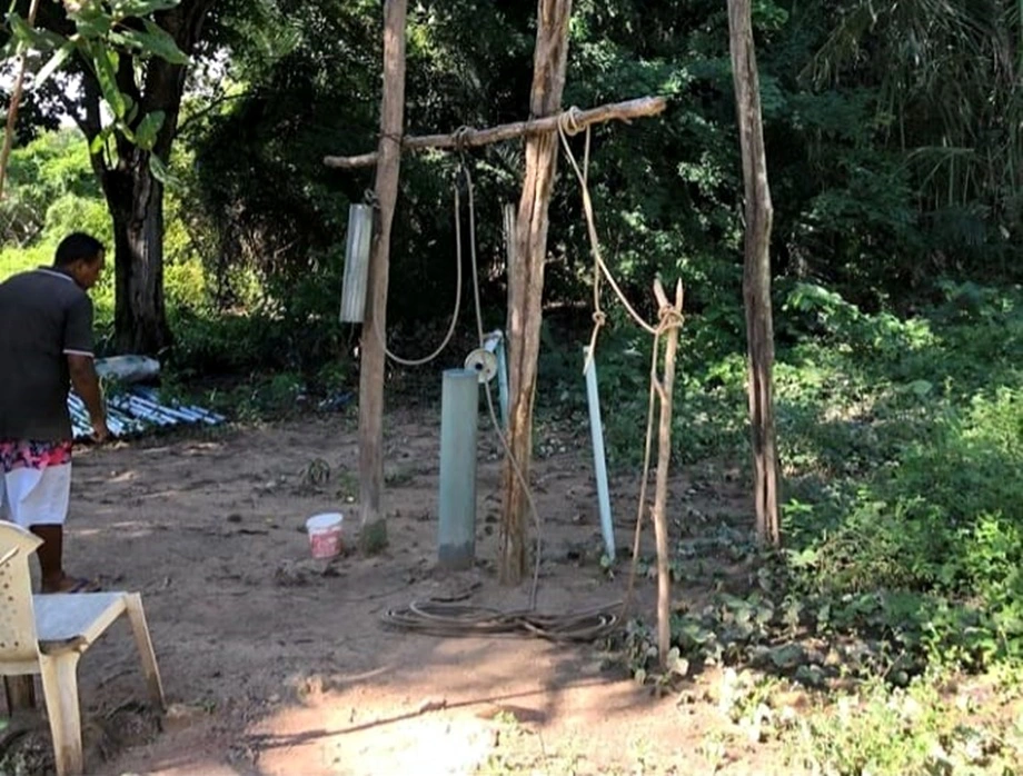 Água é consumida apenas por animais