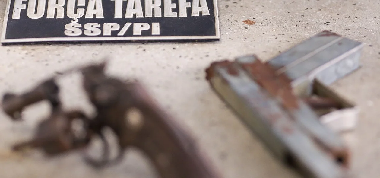 Armas apreendidas pela Força Tarefa