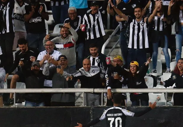 Botafogo vence o Brusque e sobe para a vice-liderança.
