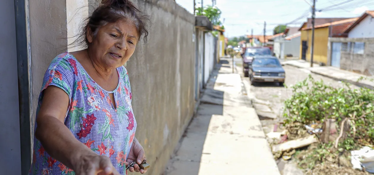 Dona Maria José
