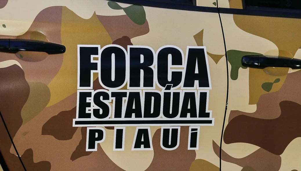 Força Estadual de Segurança do Piauí