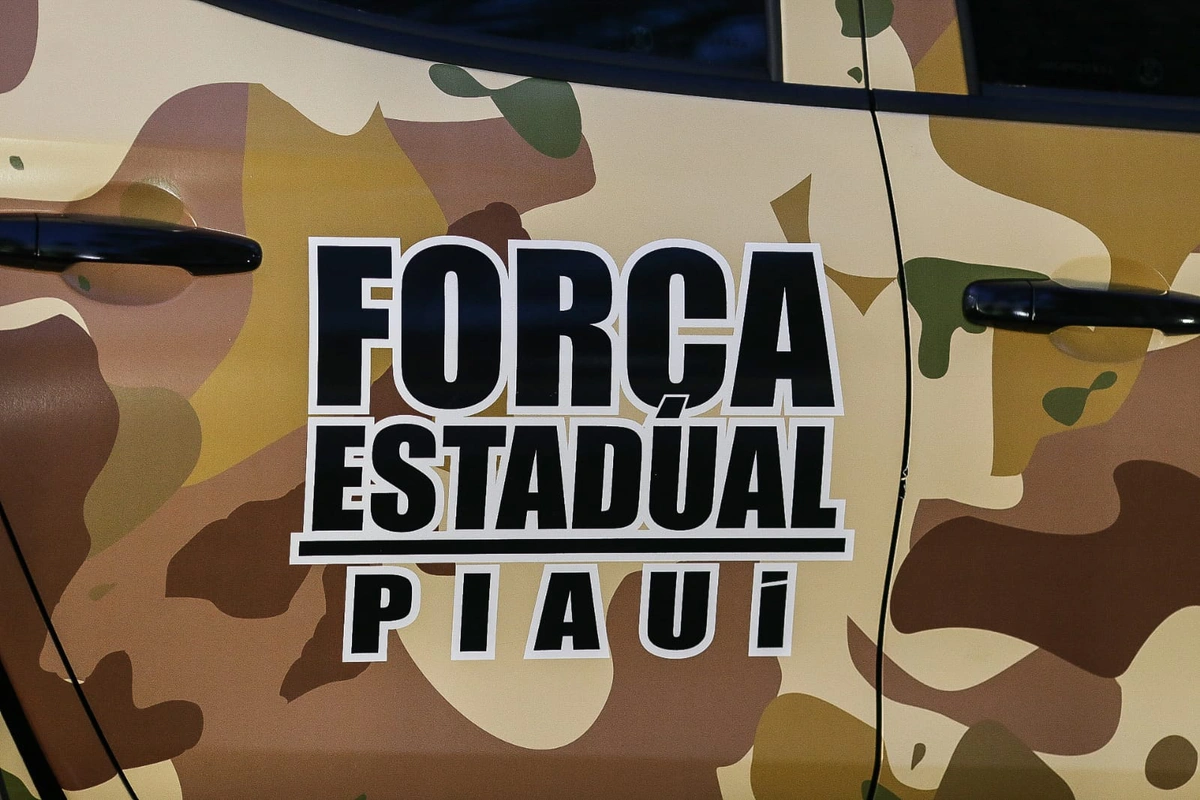 Força Estadual de Segurança do Piauí