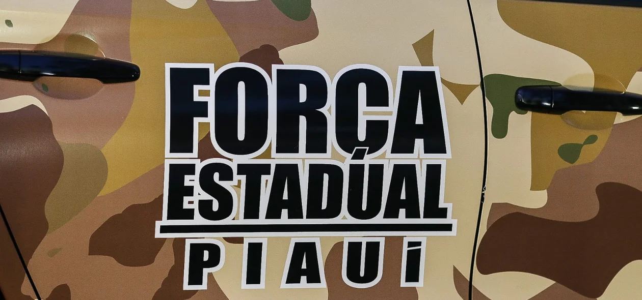 Força Estadual de Segurança do Piauí