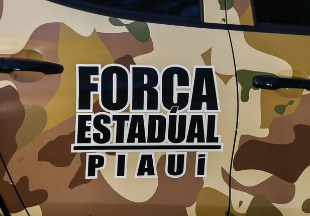 Força Estadual de Segurança do Piauí