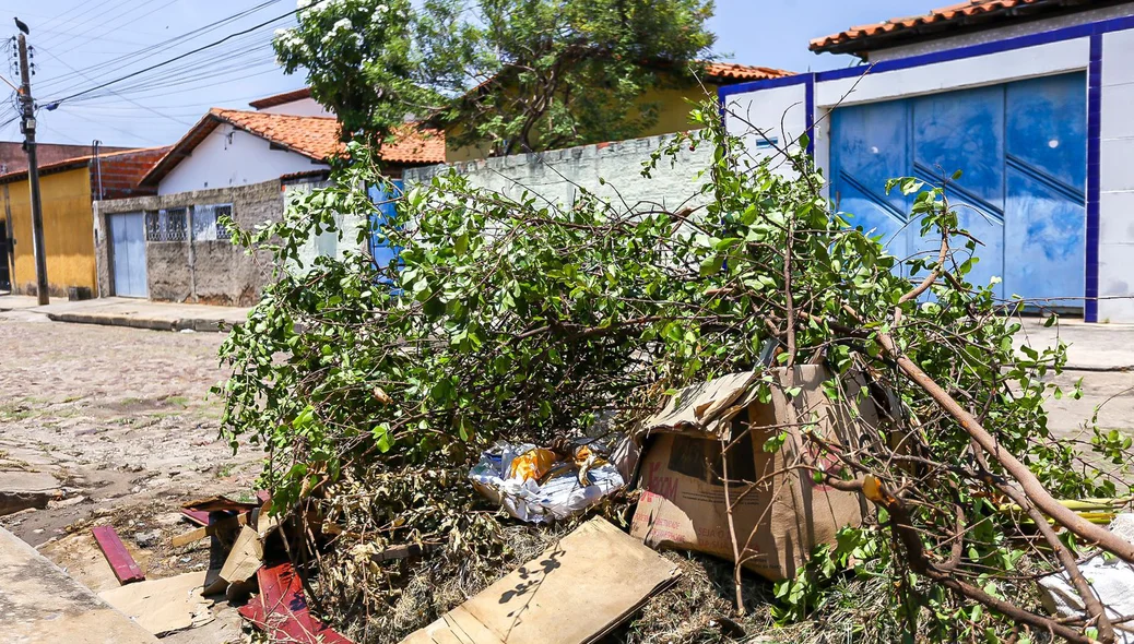 Lixo não foi recolhido pela SAAD Sudeste