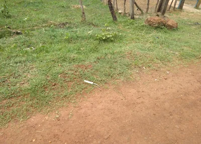 Local onde a vítima foi encontrada morta