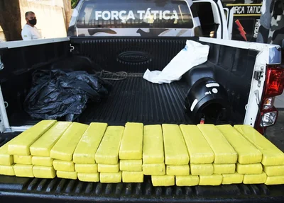 Maconha apreendida pela Força Tática da Polícia Militar