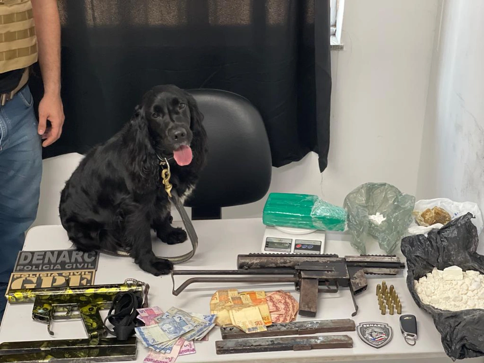 Material apreendido pela DENARC e K9 Radar, do Núcleo de Operações com Cães
