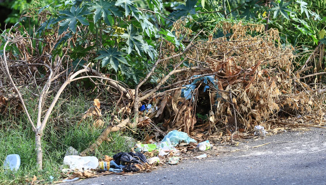 Moradores reclamam de acúmulo de lixo em terreno