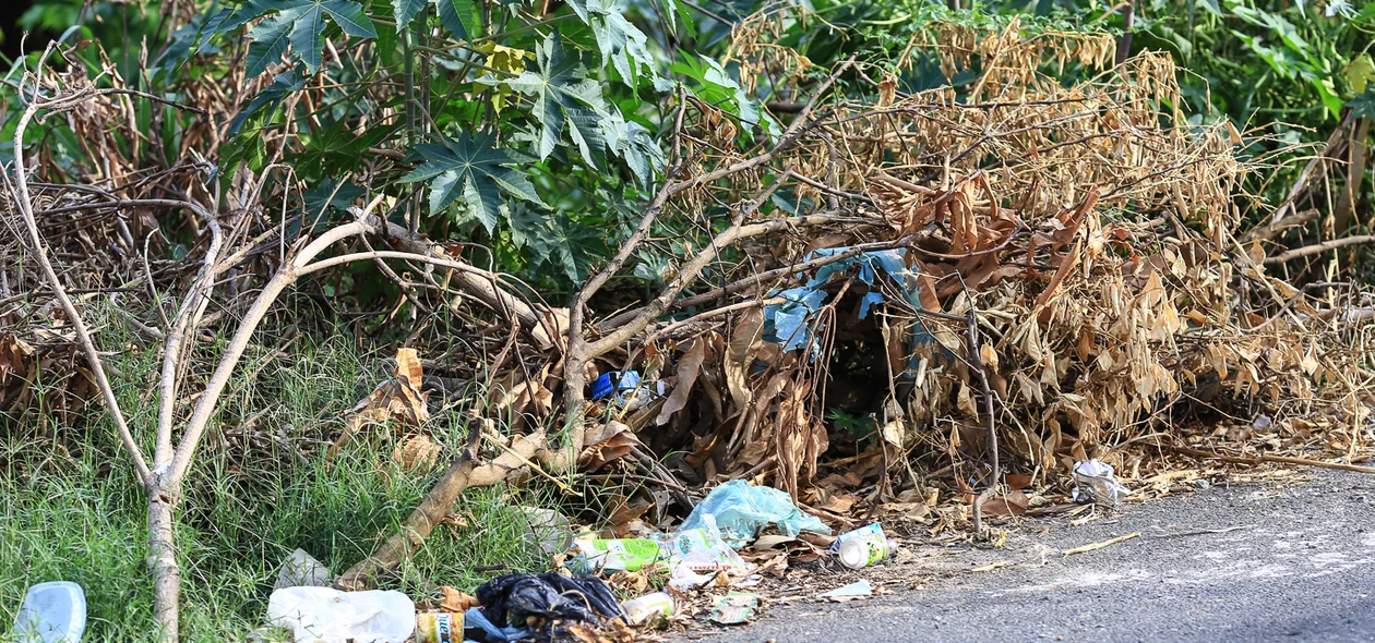 Moradores reclamam de acúmulo de lixo em terreno
