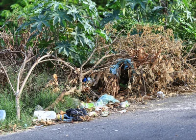 Moradores reclamam de acúmulo de lixo em terreno