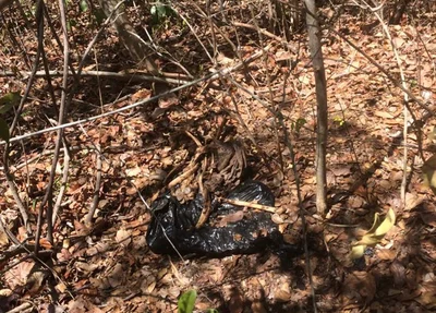 Ossada de mulher é encontrada em matagal na cidade de Parnaíba